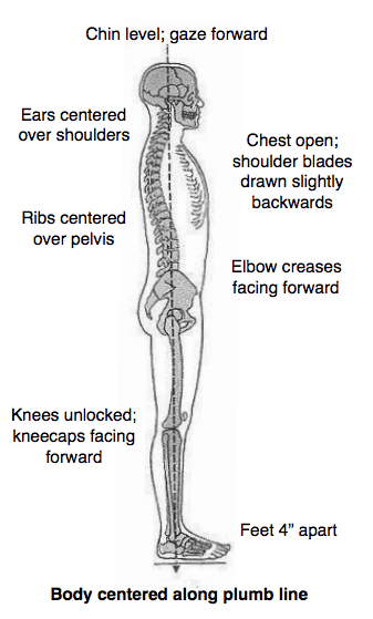 Posture and Body Alignment